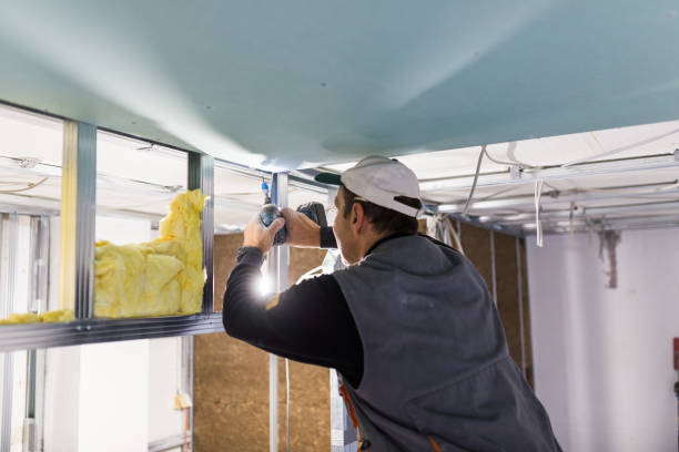 Best Types of Insulation in Winthrop, MN