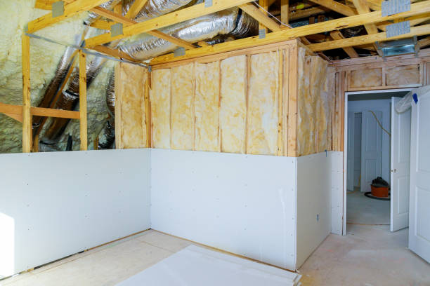 Best Insulation Maintenance and Repair in Winthrop, MN